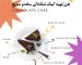 cover-fidan-کیک-شکلات